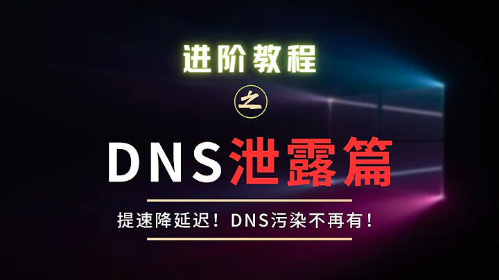 彻底解决DNS泄漏问题
